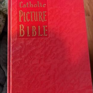 Vintage Catholic Picture Bible